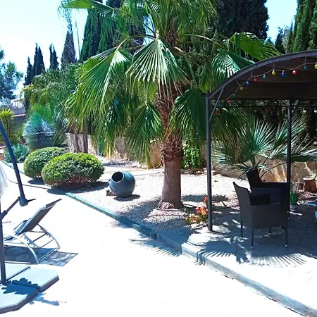 Palmeras *