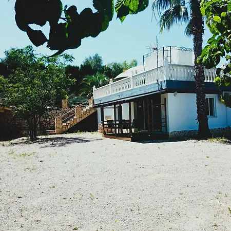 Palmeras